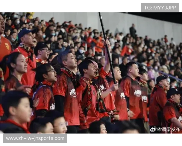 足球赛事中的观众互动与球迷文化