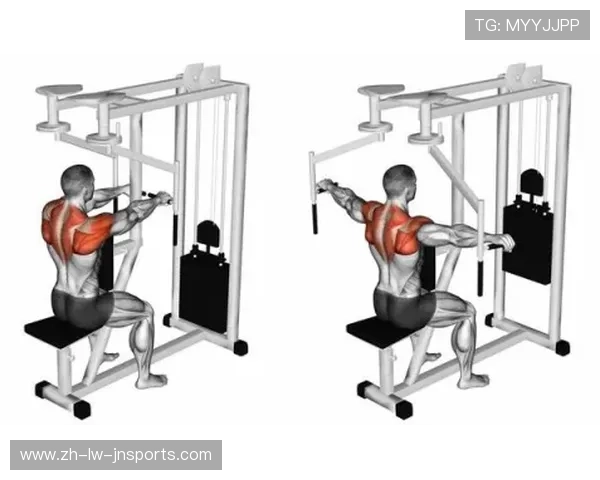 飞鸟健身器材买卖平台一览 飞鸟健身器材买卖平台一览